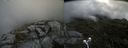 ./images/calvert/buxton2/20210725/buxton220210725_121003M.jpg