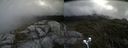 ./images/calvert/buxton2/20210725/buxton220210725_124503M.jpg