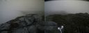 ./images/calvert/buxton2/20210725/buxton220210725_202503M.jpg