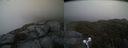 ./images/calvert/buxton2/20210725/buxton220210725_211002M.jpg