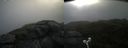 ./images/calvert/buxton2/20210726/buxton220210726_081502M.jpg