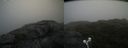 ./images/calvert/buxton2/20210726/buxton220210726_082502M.jpg