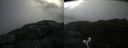 ./images/calvert/buxton2/20210726/buxton220210726_083502M.jpg