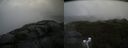 ./images/calvert/buxton2/20210726/buxton220210726_104003M.jpg
