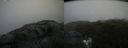 ./images/calvert/buxton2/20210726/buxton220210726_104503M.jpg