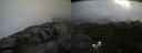 ./images/calvert/buxton2/20210726/buxton220210726_112002M.jpg
