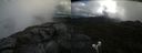 ./images/calvert/buxton2/20210726/buxton220210726_114002M.jpg