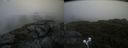 ./images/calvert/buxton2/20210726/buxton220210726_115002M.jpg