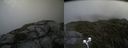 ./images/calvert/buxton2/20210726/buxton220210726_141002M.jpg