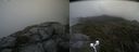 ./images/calvert/buxton2/20210726/buxton220210726_141502M.jpg