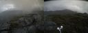 ./images/calvert/buxton2/20210726/buxton220210726_151002M.jpg