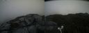 ./images/calvert/buxton2/20210726/buxton220210726_183503M.jpg