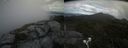 ./images/calvert/buxton2/20210728/buxton220210728_181503M.jpg
