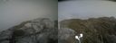 ./images/calvert/buxton2/20210801/buxton220210801_164503M.jpg