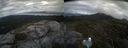 ./images/calvert/buxton2/20210803/buxton220210803_165003M.jpg