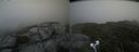 ./images/calvert/buxton2/20210803/buxton220210803_174502M.jpg