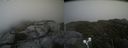 ./images/calvert/buxton2/20210803/buxton220210803_181502M.jpg