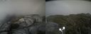 ./images/calvert/buxton2/20210803/buxton220210803_184002M.jpg