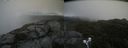 ./images/calvert/buxton2/20210804/buxton220210804_104502M.jpg