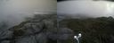./images/calvert/buxton2/20210806/buxton220210806_104503M.jpg
