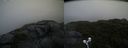 ./images/calvert/buxton2/20210807/buxton220210807_073502M.jpg