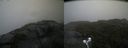./images/calvert/buxton2/20210807/buxton220210807_121502M.jpg