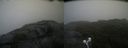 ./images/calvert/buxton2/20210807/buxton220210807_133503M.jpg