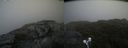 ./images/calvert/buxton2/20210807/buxton220210807_152503M.jpg