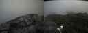 ./images/calvert/buxton2/20210807/buxton220210807_155503M.jpg