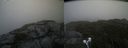 ./images/calvert/buxton2/20210807/buxton220210807_165502M.jpg