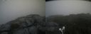 ./images/calvert/buxton2/20210808/buxton220210808_134002M.jpg