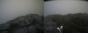 ./images/calvert/buxton2/20210808/buxton220210808_161002M.jpg