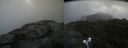 ./images/calvert/buxton2/20210809/buxton220210809_112502M.jpg