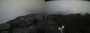 ./images/calvert/buxton2/20210809/buxton220210809_124503M.jpg