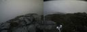 ./images/calvert/buxton2/20210810/buxton220210810_130503M.jpg