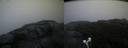 ./images/calvert/buxton2/20210815/buxton220210815_061503M.jpg