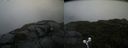 ./images/calvert/buxton2/20210815/buxton220210815_085003M.jpg