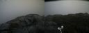 ./images/calvert/buxton2/20210815/buxton220210815_092502M.jpg