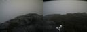 ./images/calvert/buxton2/20210815/buxton220210815_114503M.jpg