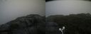 ./images/calvert/buxton2/20210815/buxton220210815_121503M.jpg