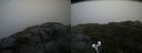 ./images/calvert/buxton2/20210815/buxton220210815_125502M.jpg