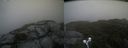 ./images/calvert/buxton2/20210816/buxton220210816_075003M.jpg