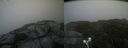 ./images/calvert/buxton2/20210816/buxton220210816_113502M.jpg