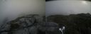 ./images/calvert/buxton2/20210816/buxton220210816_114502M.jpg