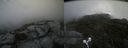 ./images/calvert/buxton2/20210816/buxton220210816_121002M.jpg