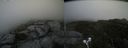 ./images/calvert/buxton2/20210816/buxton220210816_163502M.jpg