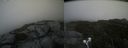 ./images/calvert/buxton2/20210816/buxton220210816_164502M.jpg