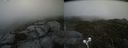 ./images/calvert/buxton2/20210816/buxton220210816_170502M.jpg