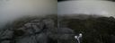 ./images/calvert/buxton2/20210816/buxton220210816_173502M.jpg