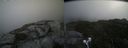 ./images/calvert/buxton2/20210818/buxton220210818_125003M.jpg